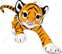 Little Tiger Playgroup